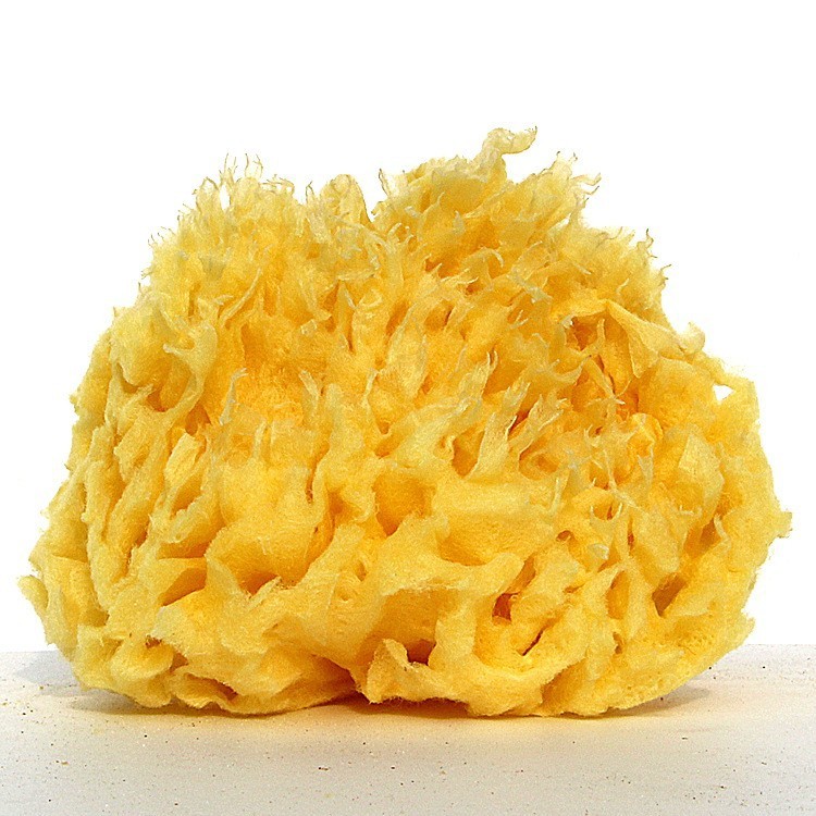 Grecja naturalna gąbka